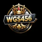 wgs567 game