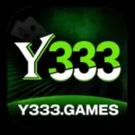 y 333 game