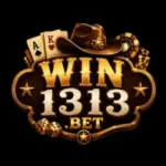 win1313 game