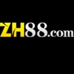 zh 88 game