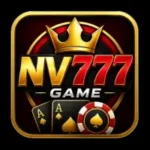 nv777 game