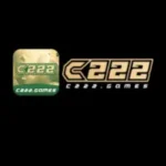 C222 game
