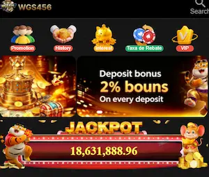 WGS456 Game