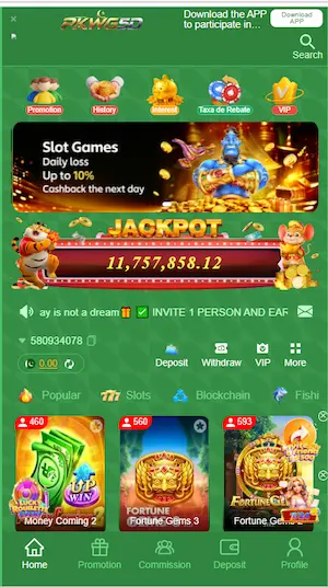 pkwg5d game