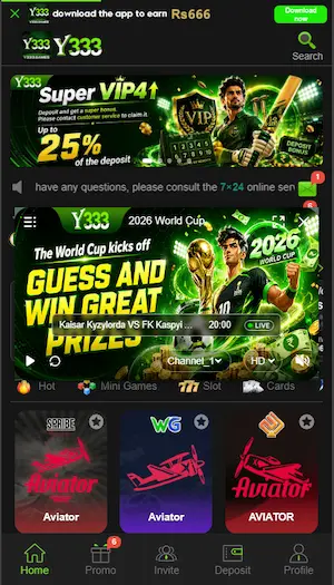 y 333 game