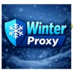 winter proxy apk